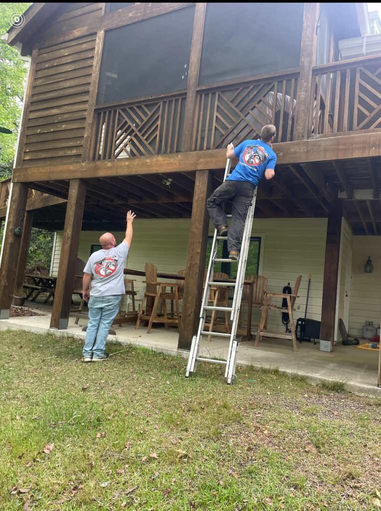 Carpenter bee control Blue Ridge ga