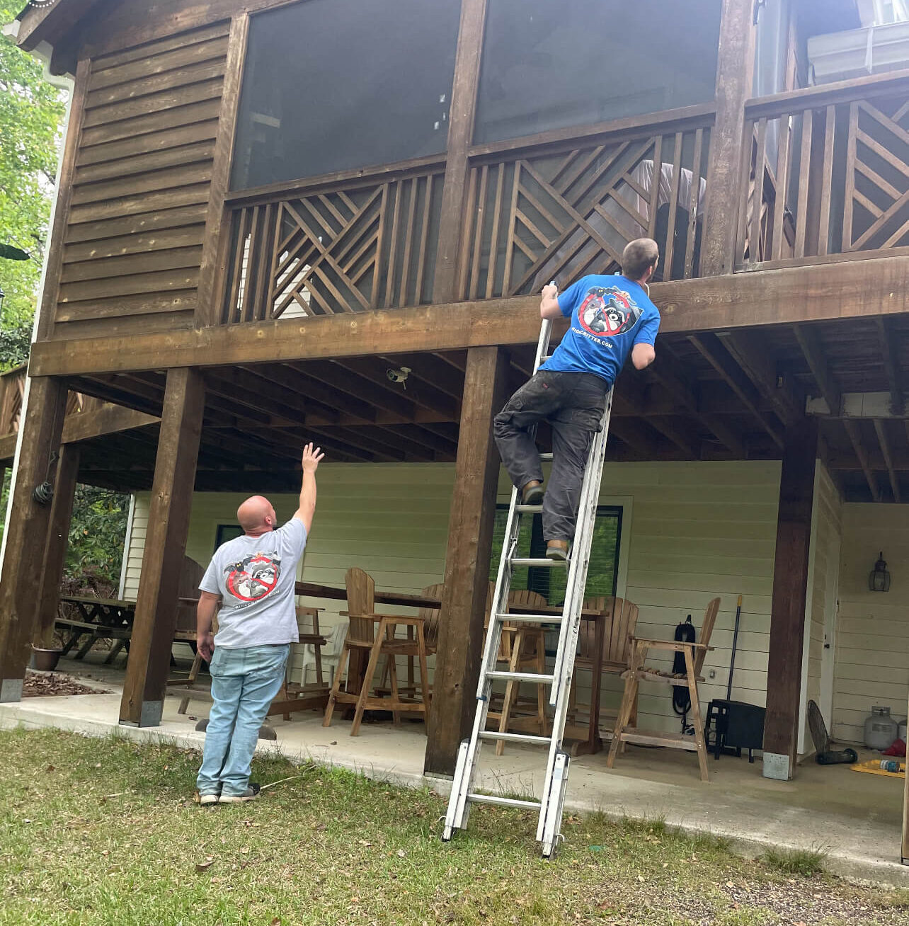 Carpenter bee control atlanta ga