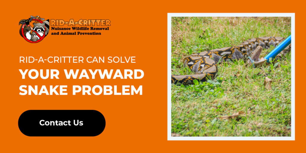 Rid-A-Critter Can Solve Your Wayward Snake Problem