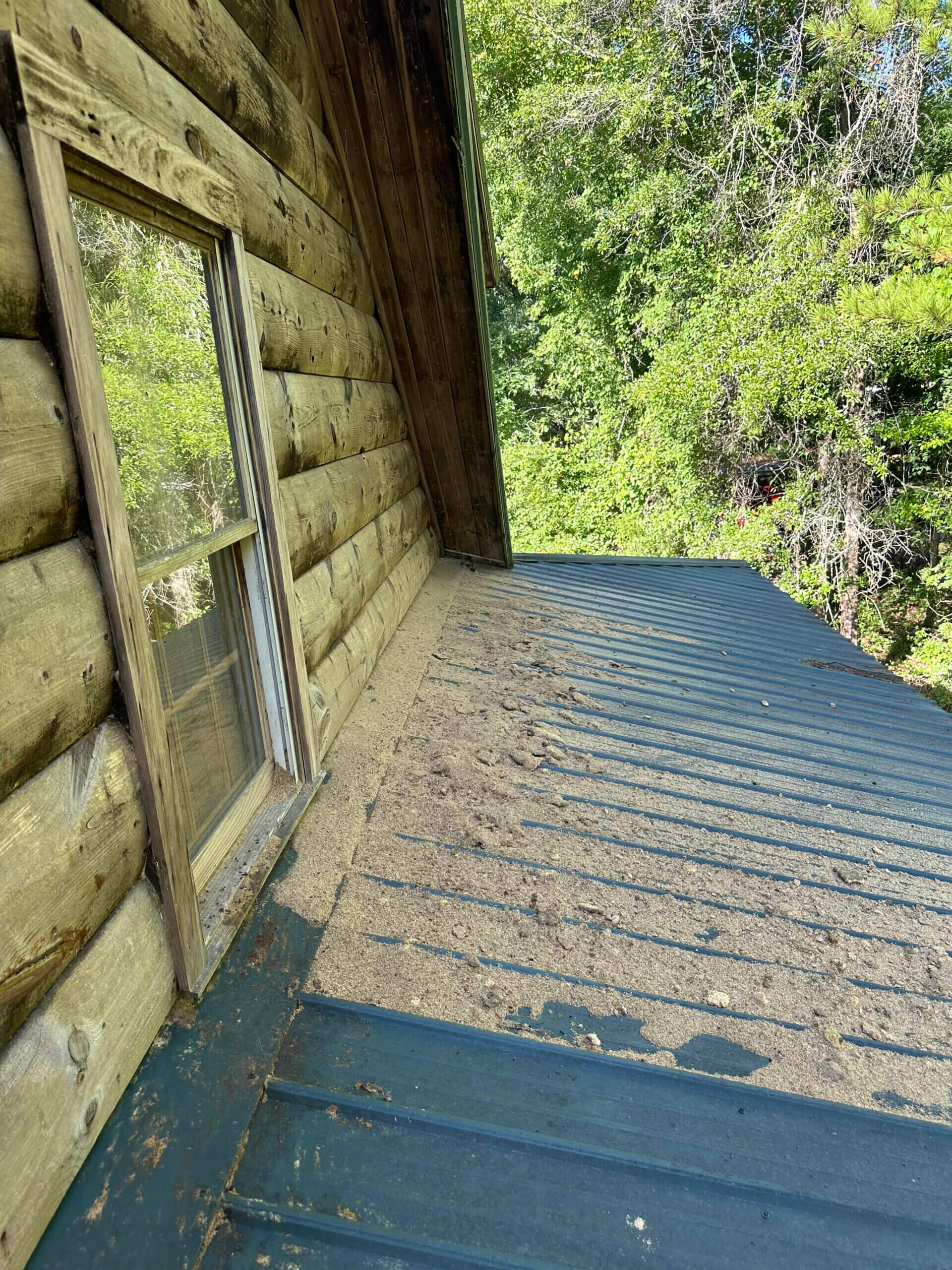 Carpenter bee damage to a Macon house